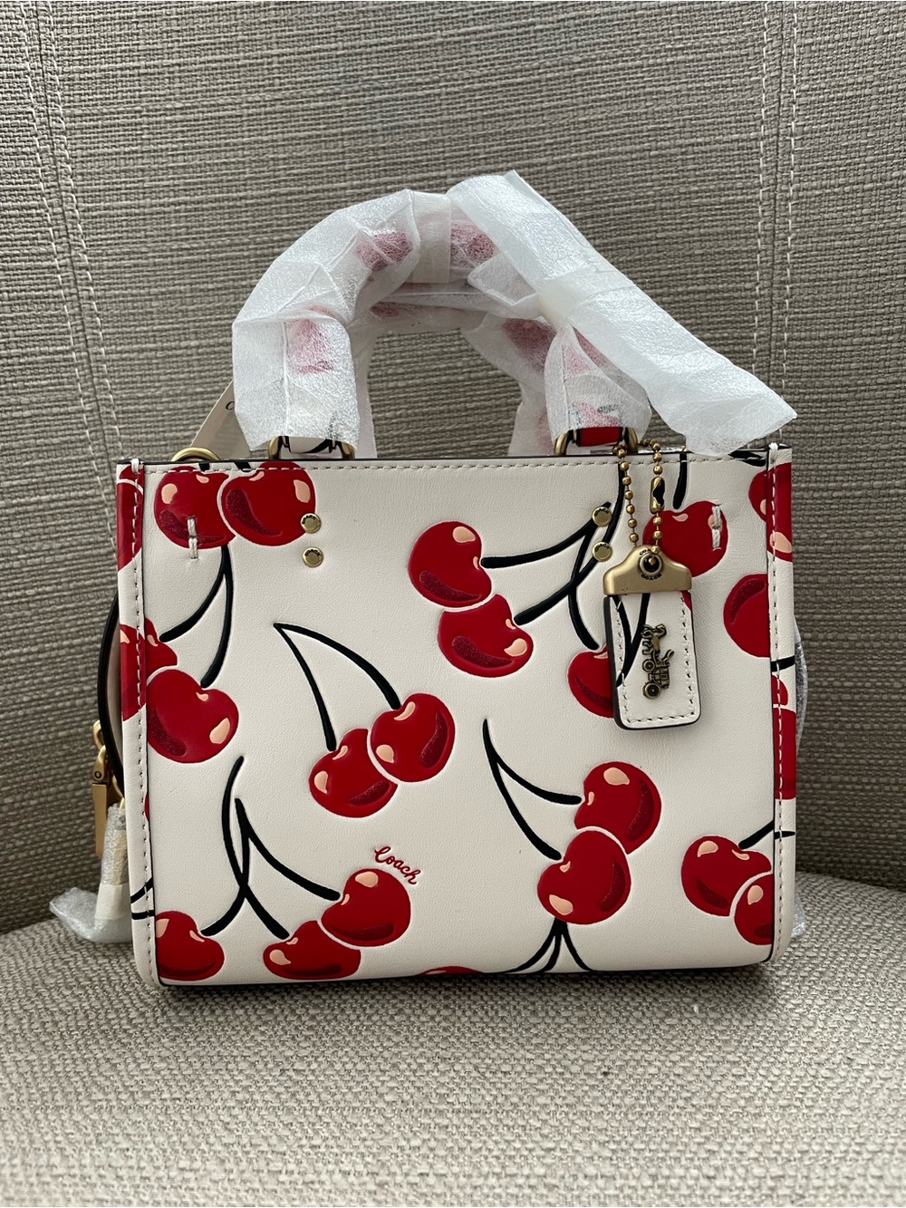 Coach Rogue 17 Bag with Cherry Print Chalk NWT